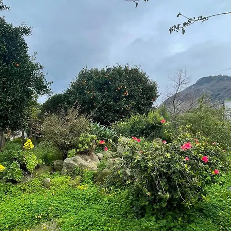 Casa - O Chian 'e Zizza Moscia Forio (Isola d'Ischia)