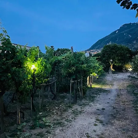 Casa - O Chian 'e Zizza Moscia * Forio (Isola d'Ischia)